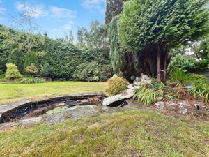 Photo 20- click for photo gallery